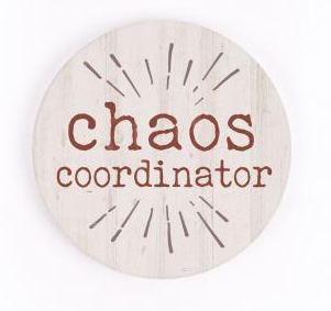 Single Car Coaster - Chaos Coordinator